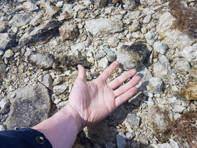 Чистейшая вода в шведском водоёме