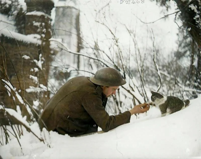 Британский солдат во Франции. Первая мировая война, 1917 год.